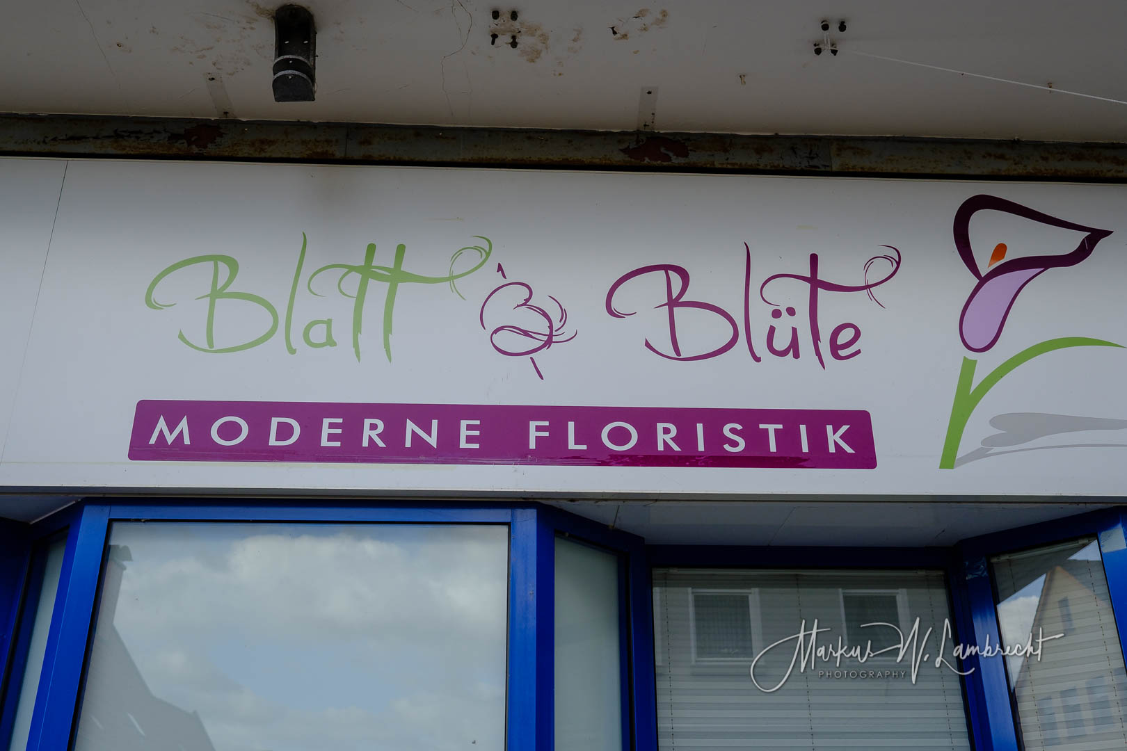 Steinheim (Westfalen), Blatt & Blüte